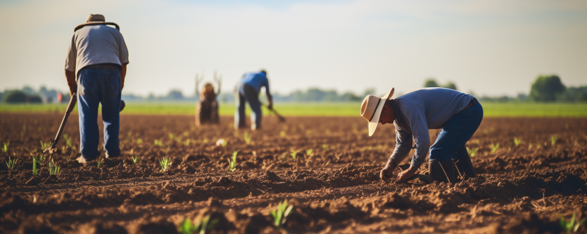 como promover a agricultura sustentável