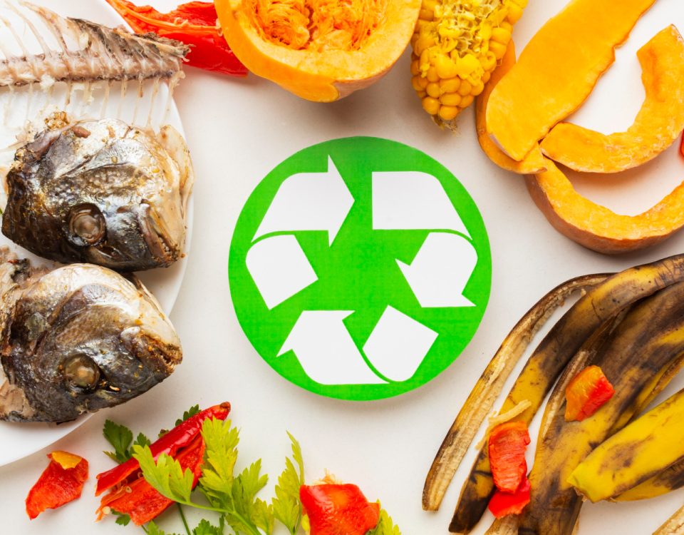 A imagem mostra alguns resíduos orgânicos, como casca de banana, resto de legumes e peixes ao redor do símbolo da reciclagem.