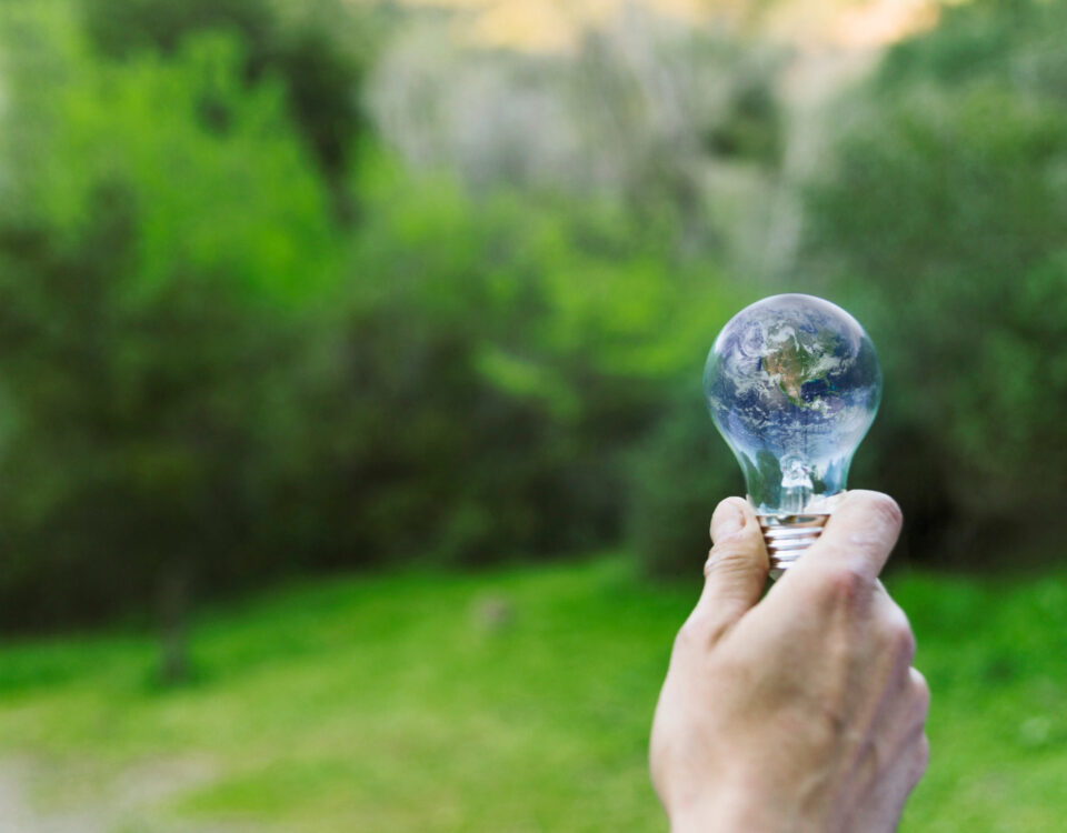 Mão segurando uma lâmpada transparente, na qual a imagem do planeta Terra está refletida, em um cenário natural com árvores e vegetação verde ao fundo. A composição simboliza a conexão entre sustentabilidade e energia verde, destacando a importância de soluções energéticas ecológicas para o futuro do planeta.