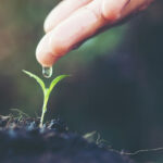 Mão humana delicadamente soltando uma gota de água sobre um pequeno broto verde emergindo do solo fértil. A cena representa o cuidado e a sustentabilidade na agricultura, remetendo ao uso de bioinsumos para fortalecer o crescimento saudável das plantas sem impacto negativo ao meio ambiente. O fundo desfocado e a luz suave criam uma atmosfera de harmonia com a natureza.