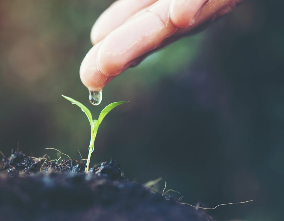 Mão humana delicadamente soltando uma gota de água sobre um pequeno broto verde emergindo do solo fértil. A cena representa o cuidado e a sustentabilidade na agricultura, remetendo ao uso de bioinsumos para fortalecer o crescimento saudável das plantas sem impacto negativo ao meio ambiente. O fundo desfocado e a luz suave criam uma atmosfera de harmonia com a natureza.